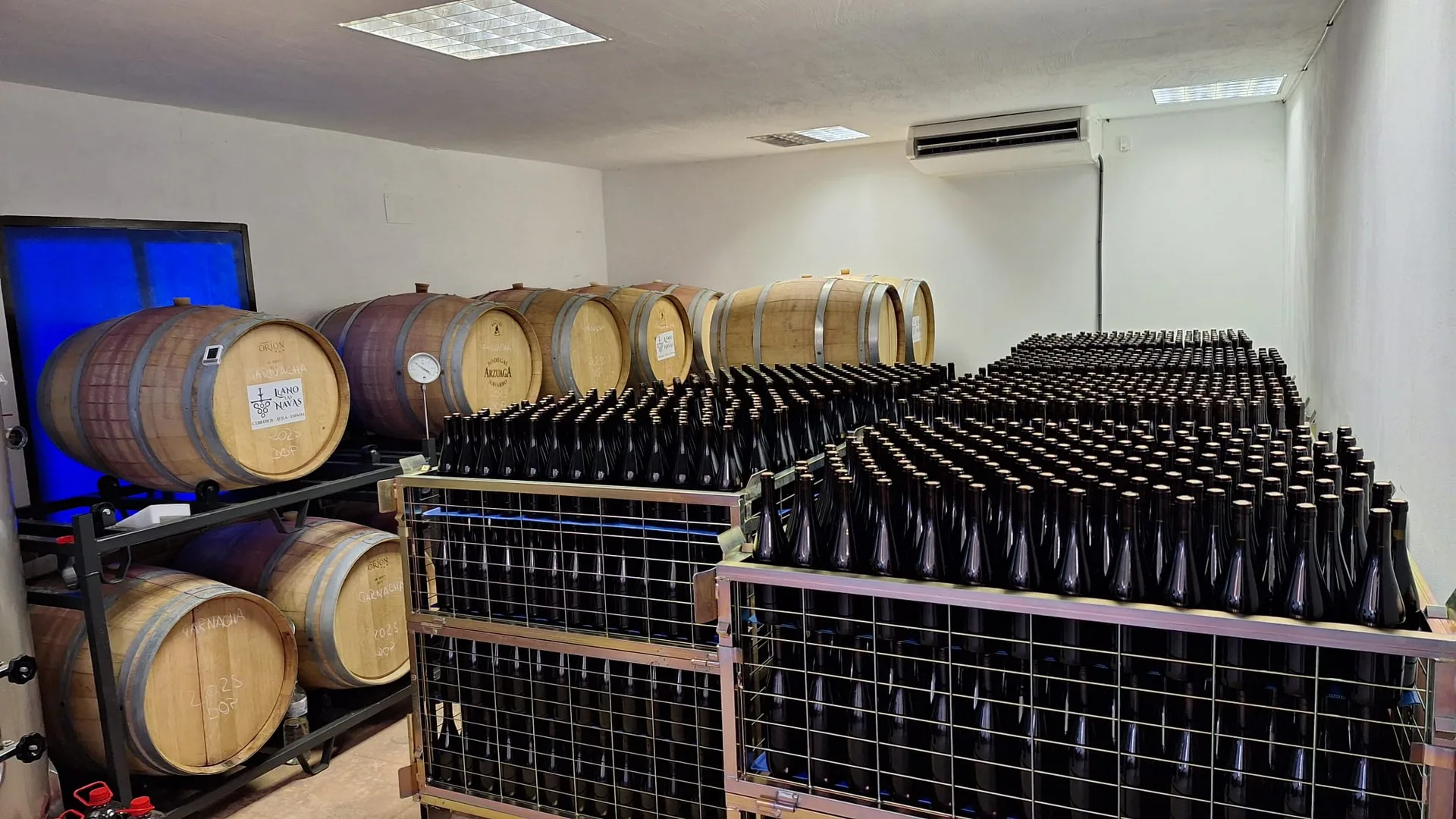 Bodega