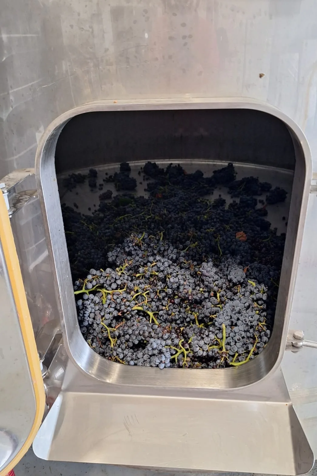 Uvas deposito