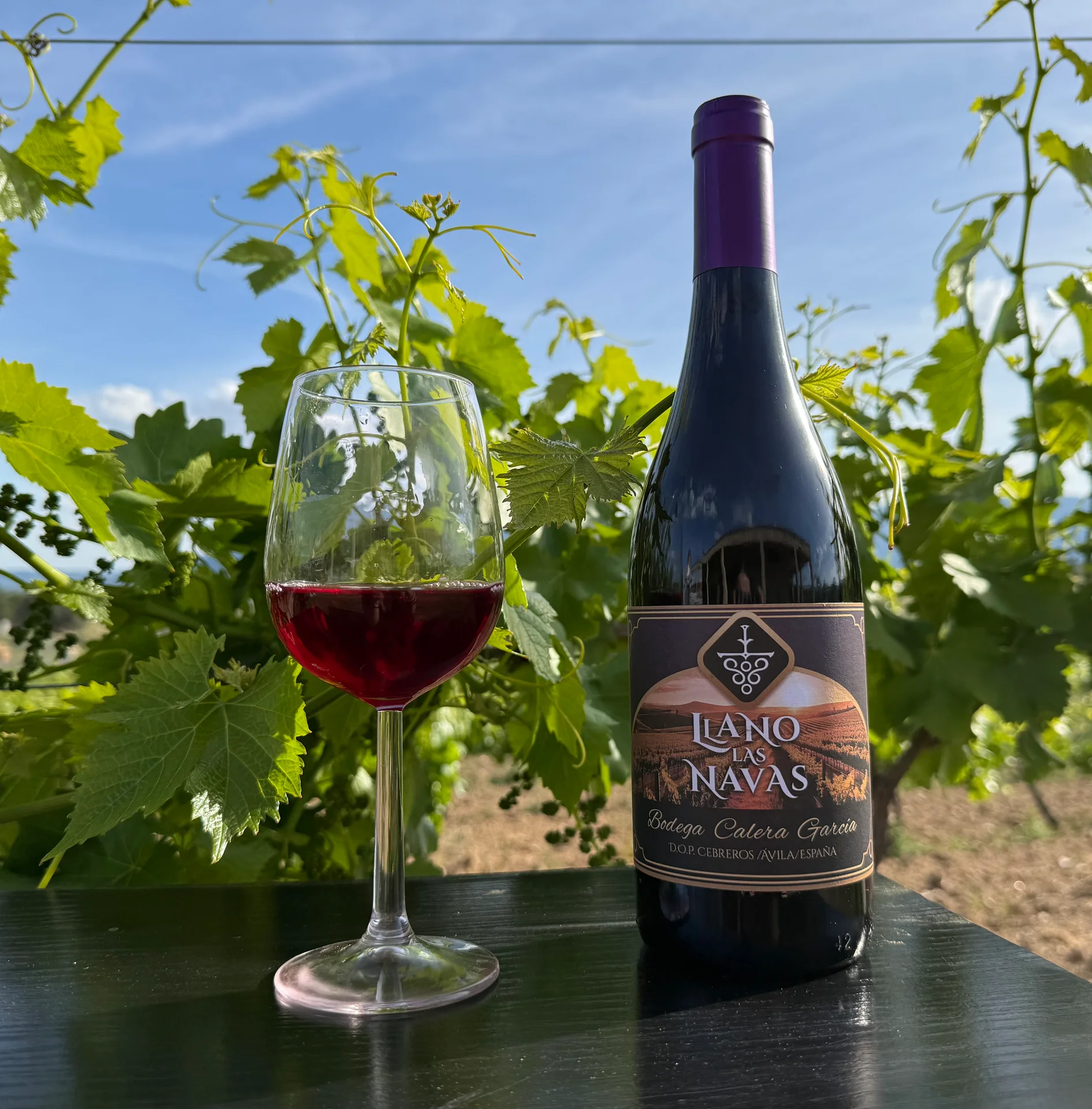Viñas Bajas